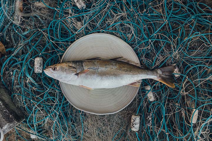 Edição: Peixe